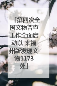 第四次全国文物普查工作全面启动以 来福州新发现文物1173处