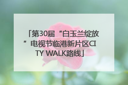 第30届“白玉兰绽放”电视节临港新片区CITY WALK路线