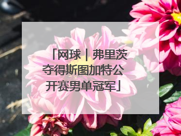 网球｜弗里茨夺得斯图加特公开赛男单冠军