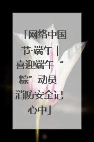 网络中国节·端午｜喜迎端午“粽”动员 消防安全记心中
