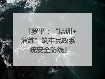 罗平：“培训+演练”筑牢民政系统安全防线