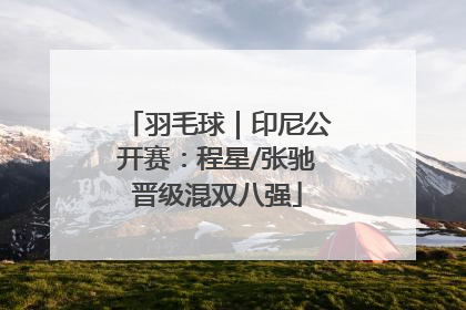 羽毛球｜印尼公开赛：程星/张驰晋级混双八强