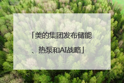 美的集团发布储能、热泵和AI战略
