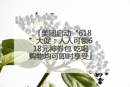 美团启动“618”大促：人人可领618元神券包 吃喝购物均可即时享受