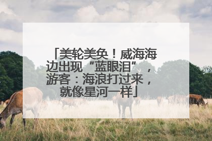 美轮美奂！威海海边出现“蓝眼泪”，游客：海浪打过来，就像星河一样