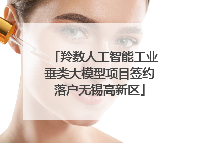 羚数人工智能工业垂类大模型项目签约落户无锡高新区