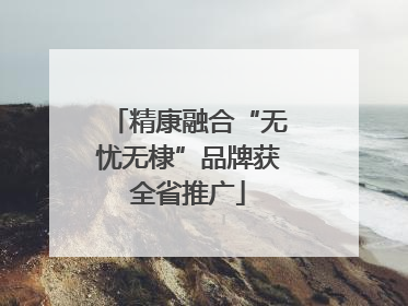 精康融合“无忧无棣”品牌获全省推广