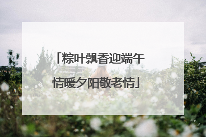 粽叶飘香迎端午 情暖夕阳敬老情