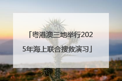 粤港澳三地举行2025年海上联合搜救演习