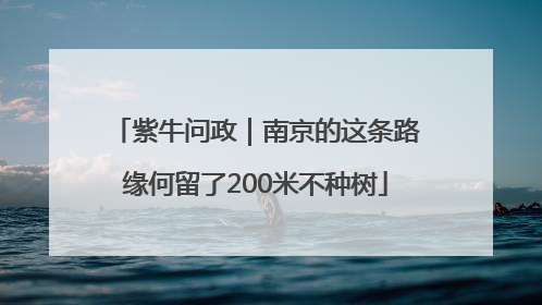 紫牛问政｜南京的这条路缘何留了200米不种树