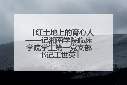 红土地上的育心人——记湘南学院临床学院学生第一党支部书记王世英