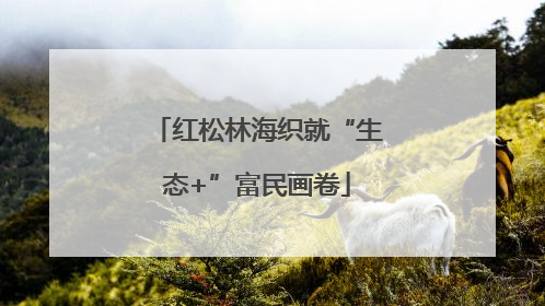 红松林海织就“生态+”富民画卷