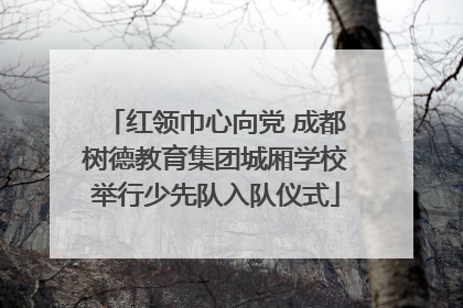 红领巾心向党 成都树德教育集团城厢学校举行少先队入队仪式