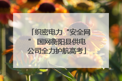织密电力“安全网” 国网衡阳县供电公司全力护航高考