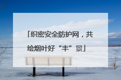 织密安全防护网，共绘烟叶好“丰”景