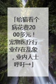 给猫看个病花费2000多元！宠物医疗行业存在乱象，业内人士呼吁→