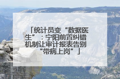 统计员变“数据医生”：宁阳前置纠错机制让审计报表告别“带病上岗”