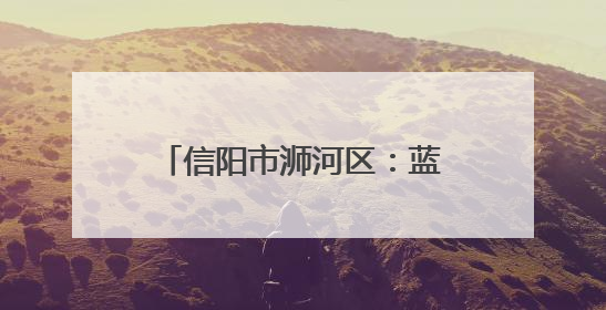 信阳市浉河区：蓝莓串起致富链 “莓”好生活入画来