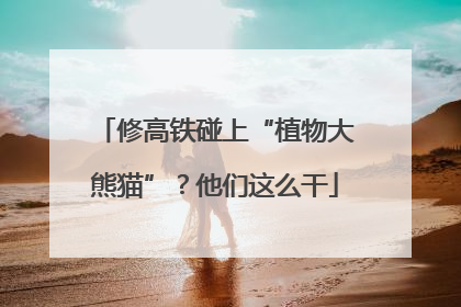 修高铁碰上“植物大熊猫”？他们这么干