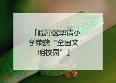 临潼区华清小学荣获“全国文明校园”
