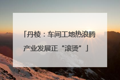 丹棱：车间工地热浪腾产业发展正“滚烫”