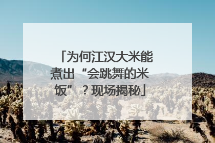 为何江汉大米能煮出“会跳舞的米饭”？现场揭秘