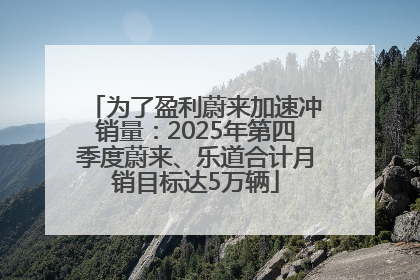 为了盈利蔚来加速冲销量：2025年第四季度蔚来、乐道合计月销目标达5万辆