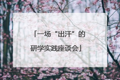 一场“出汗”的研学实践座谈会