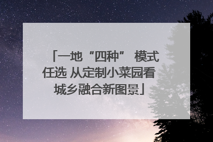 一地“四种” 模式任选 从定制小菜园看城乡融合新图景