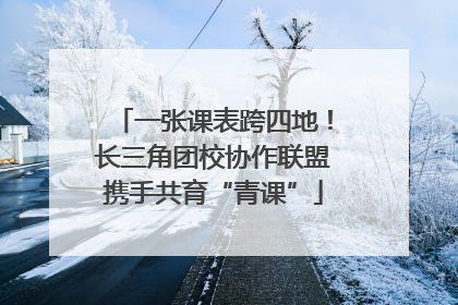 一张课表跨四地！长三角团校协作联盟携手共育“青课”