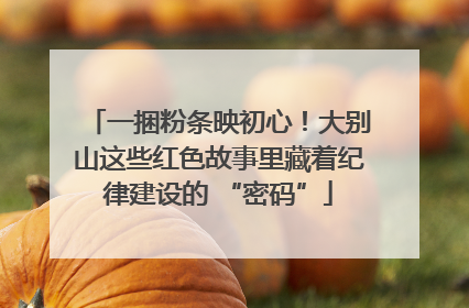 一捆粉条映初心！大别山这些红色故事里藏着纪律建设的 “密码”