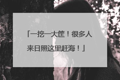 一挖一大筐！很多人来日照这里赶海！