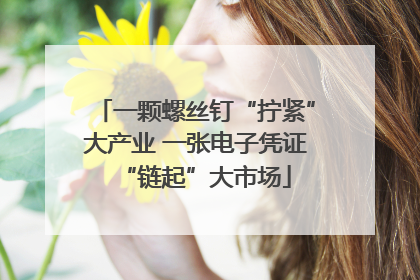 一颗螺丝钉“拧紧”大产业 一张电子凭证“链起”大市场