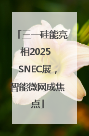 三一硅能亮相2025 SNEC展，智能微网成焦点