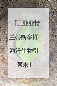 三亚亚特兰蒂斯多样海洋生物引客来