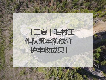 三夏｜驻村工作队筑牢防线守护丰收成果