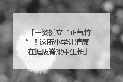 三姿挺立“正气竹”！这所小学让清廉在挺拔脊梁中生长