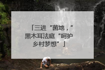 三进“菌地，”黑木耳法庭“呵护乡村梦想”