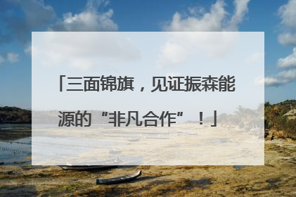 三面锦旗，见证振森能源的“非凡合作”！