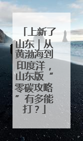 上新了山东｜从黄渤海到印度洋，山东版“零碳攻略”有多能打？