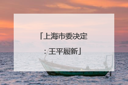 上海市委决定：王平履新