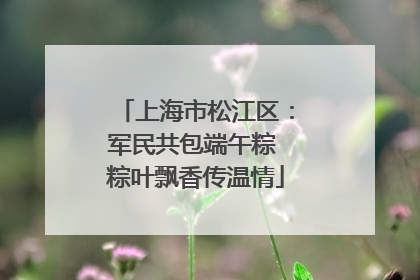 上海市松江区：军民共包端午粽 粽叶飘香传温情