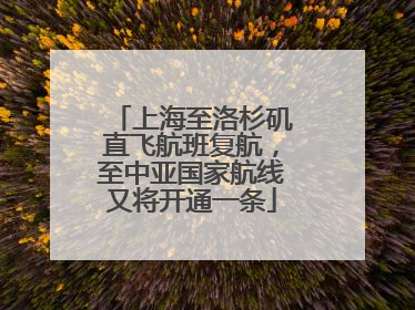 上海至洛杉矶直飞航班复航，至中亚国家航线又将开通一条