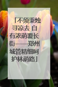 不须秉烛寻凉去 自有浓荫覆长街——郑州城管精细呵护林荫路