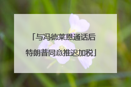 与冯德莱恩通话后 特朗普同意推迟加税