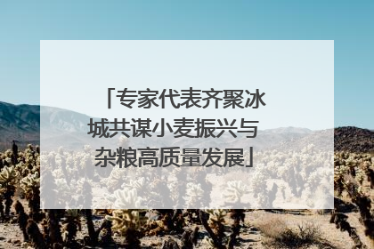 专家代表齐聚冰城共谋小麦振兴与杂粮高质量发展