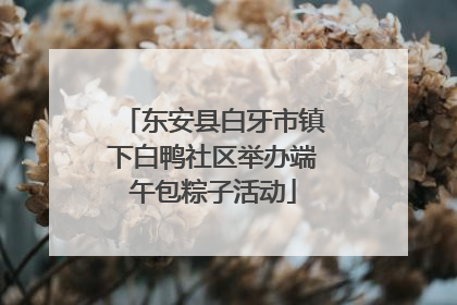 东安县白牙市镇下白鸭社区举办端午包粽子活动