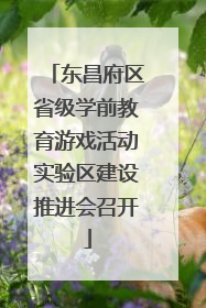 东昌府区省级学前教育游戏活动实验区建设推进会召开