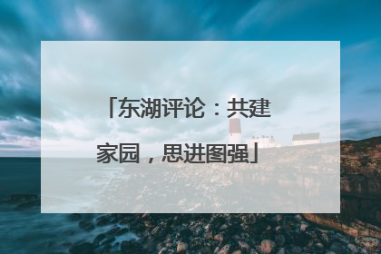 东湖评论：共建家园，思进图强