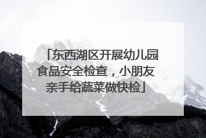 东西湖区开展幼儿园食品安全检查，小朋友亲手给蔬菜做快检